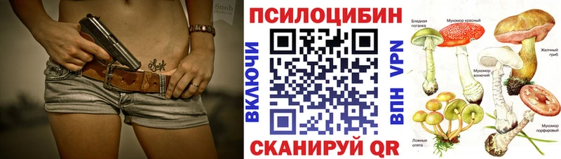 где продают   Салаир  Галлюциногенные грибы прущие грибы 